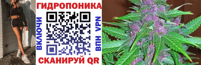 Конопля VHQ Апатиты